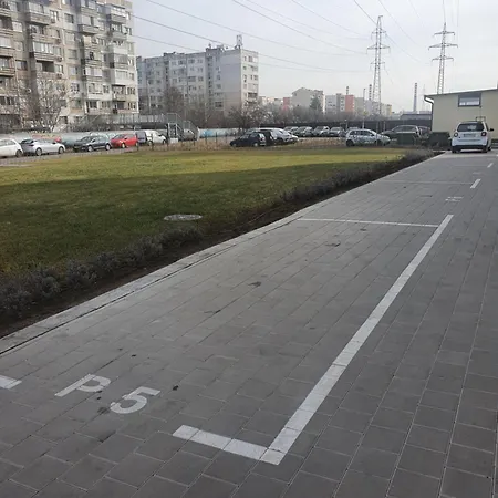 димоти Sofya