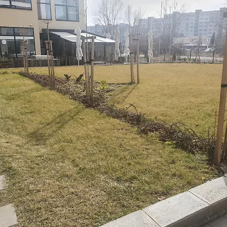 димоти